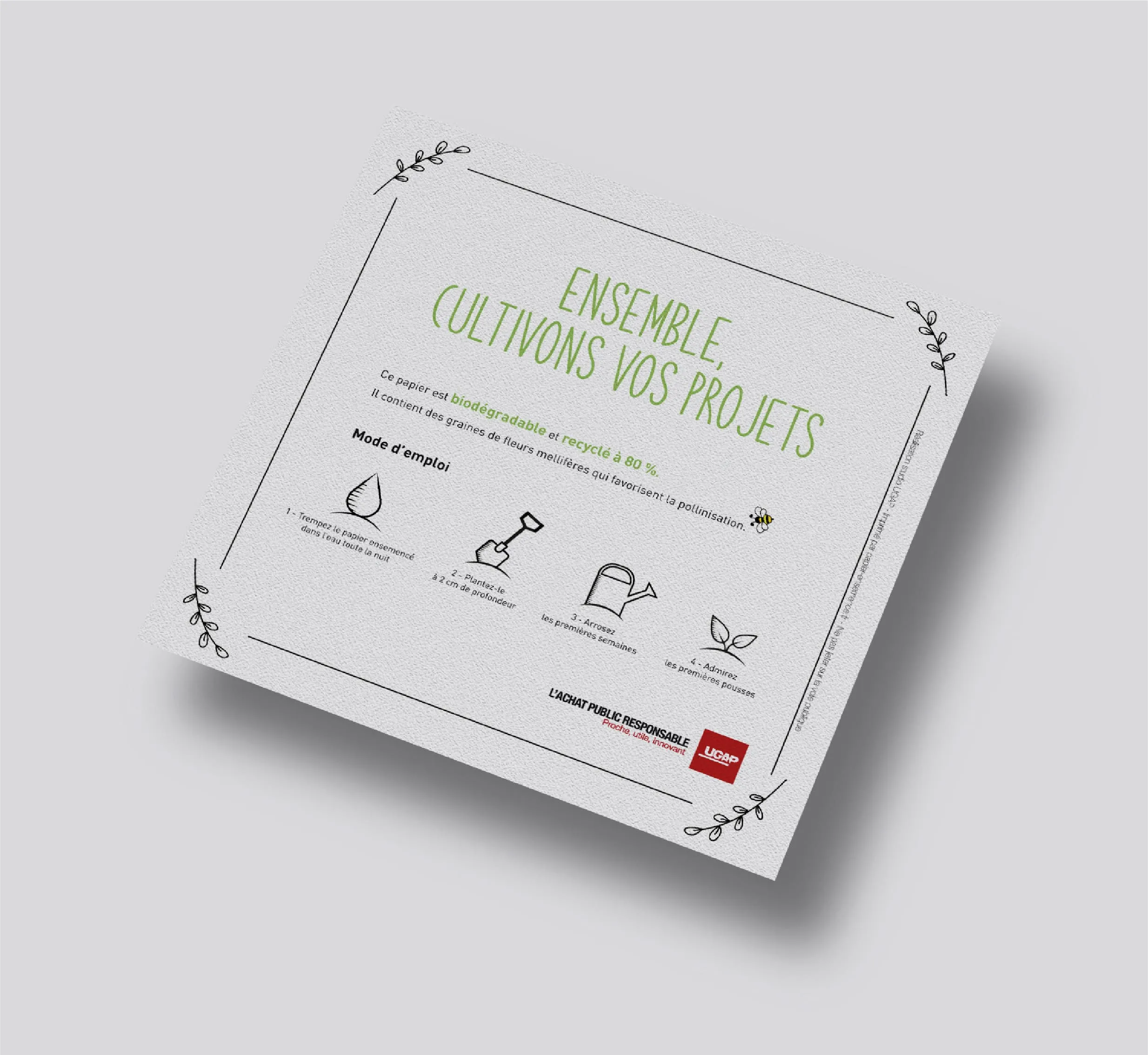 Flyer Graine